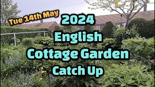 2024 English cottage garden catch up Tue 14th May