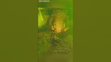 This Helldiver had one of the unluckiest grenade throws 😂 🎥: Reddit / SirProtein #helldivers2