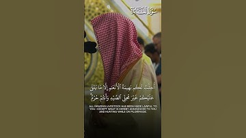 ﴿إِنَّ اللَّهَ يَحكُمُ ما يُريدُ﴾ | تلاوة فضيلة الشيخ أ.د.#محمد_برهجي