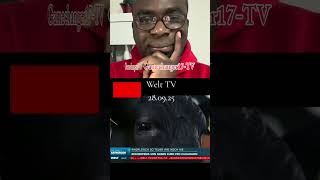 Rindfleisch So Teuer Wie Noch Nie Was Steckt Dahinter?