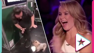 Why Doesn't He Like Me?! Max The Dog is a Force To Be Reckoned With on Britain's Got Talent!