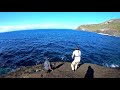 Big Mission Chasing Groper off South West Coast - Ep 06