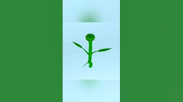 Animated sunflower blooming. Autodesk Maya 3d