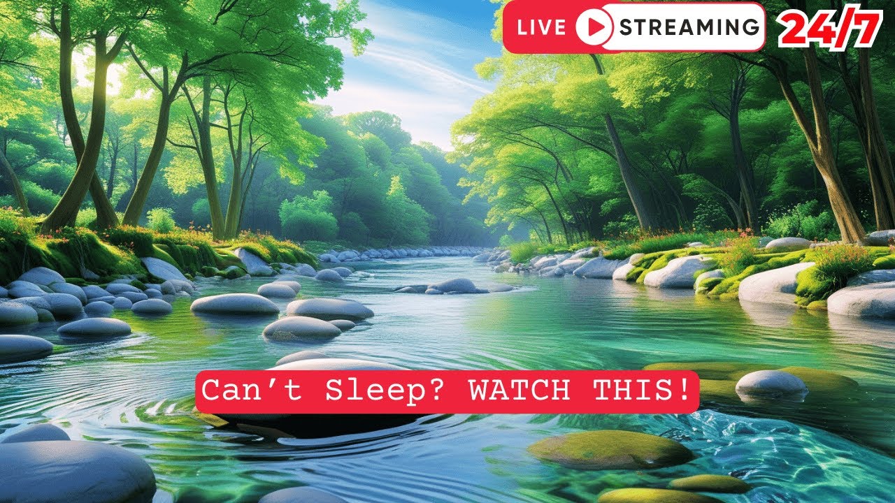River Sounds So Relaxing, You’ll Fall Asleep in Minutes | Clear Your ...
