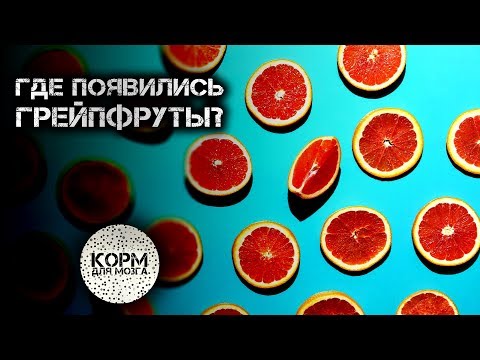 Где появились грейпфруты?