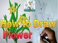 How to Draw Flower step by step easy tutorial