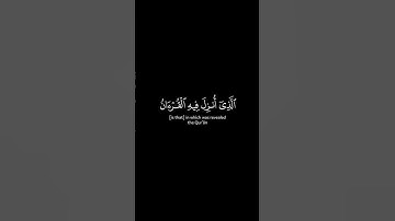 شهر رمضان الذي أنزل فيه القرآن - تلاوة بتحبير آسر يسلب الألباب للشيخ ياسر الدوسري كروما سوداء