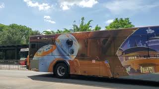 Disney Buses at Disney's Animal Kingdom August 15, 2023 at 12 PM