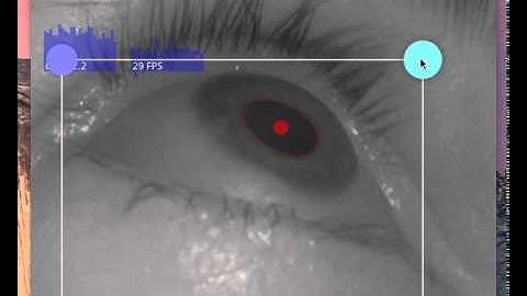 Pupil Capture v0.4.1 - Eye Settings - Basic Workflow