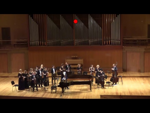 Lerman Chamber Orchestra 23.03.19