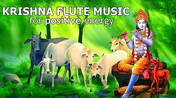 KRISHNA FLUTE MUSIC FOR POSITIVE ENERGY| MEDITATION & RELAXING MUSIC ,FLUTE,MORNING FLUTE,YOGA ^357