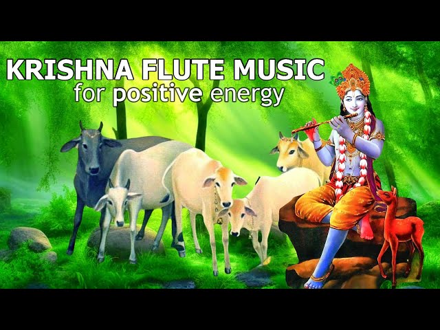 KRISHNA FLUTE MUSIC FOR POSITIVE ENERGY| MEDITATION & RELAXING MUSIC ,FLUTE,MORNING FLUTE,YOGA ^357 class=