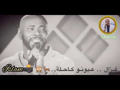 قضينا ليلة ساهرة حالات واتساب فرفور