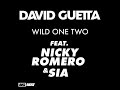 Wild One Two Feat David Guetta Sia Nicky Romero Disfunktion Remix Instrumental 