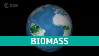 Above Ground Biomass World Map