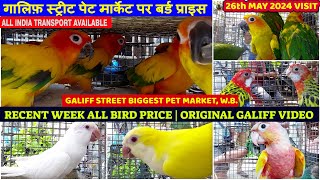 Recent Week All Exotic Bird Price Update | गालिफ़ स्ट्रीट सब से बड़ा बर्ड मार्केट, कोलकाता | 26/05/24