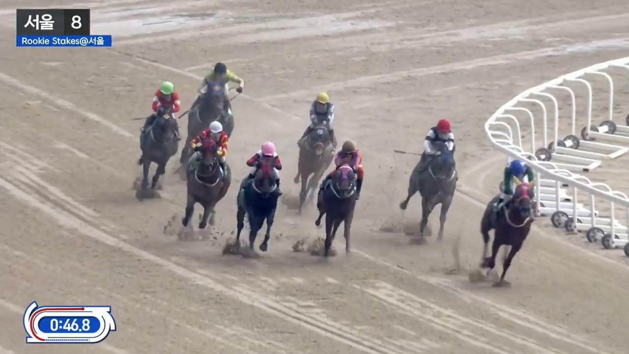 Rookie Stakes@서울.주인공은 이동하 기수의 호프케이