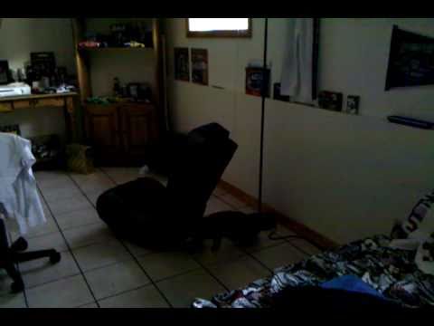 ninja kitty vs. silly string