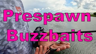 Prespawn Buzzbaits for BIG Largemouth Bass with Keith Combs