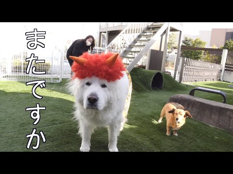 節分の予行練習です。