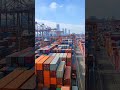 port of colombo 🇱🇰 | කොළඹ වරාය #containers #harbour #ship #sailor #portofcolombo #shipping