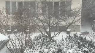 The Biggest Snowstorm And Strong Wind In Boston 2022/ More Than 2 Feet Of Snow Fall In 2022 by Vivian Easy Cooking & Recipes 162 views 2 years ago 23 minutes