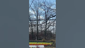 I135 Pt 1 In Rockville Md On 2 4 25 