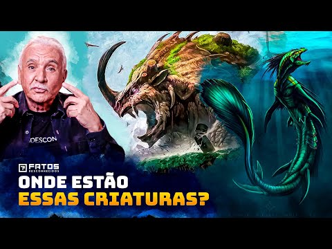 Vídeo: Quando os megatons aparecem?