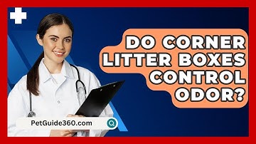 Do Corner Litter Boxes Control Odor? - PetGuide360.com