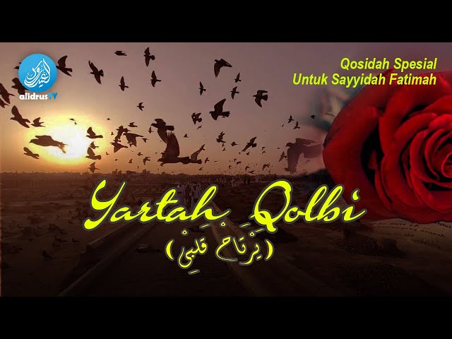 Qasidah Yartah Qolbi - Hadroh Majelis Rasulullah SAW Jawa Timur class=