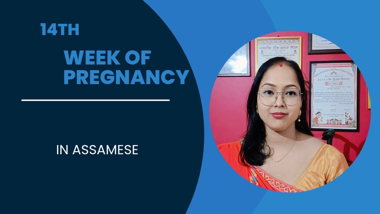 14th-week-of-pregnancy-youtube