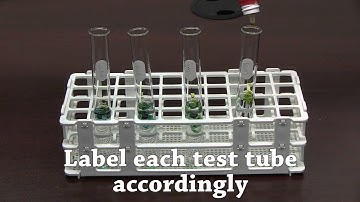 Dissolved oxygen test