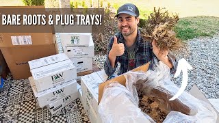 Unboxing Our Proven Winners Perennials from Walter's Gardens by Set Apart Farm & Gardens Homestead 2,256 views 2 months ago 10 minutes, 22 seconds