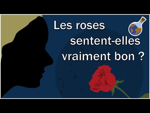 Vidéo: Les roses thé sentent-elles ?