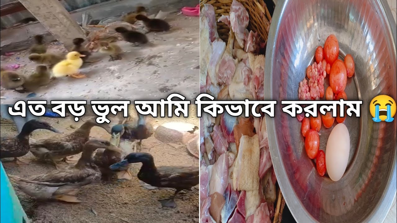 মাঝে মাঝে কিছু কাজ একদম বোকার মত করে ফেলি 😞 পরে আর আফসোস ছাড়া কিছুই করার থাকেনা😭 