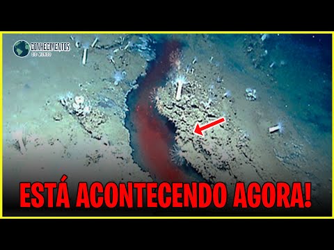 Vídeo: Por que o rio colorado está secando?