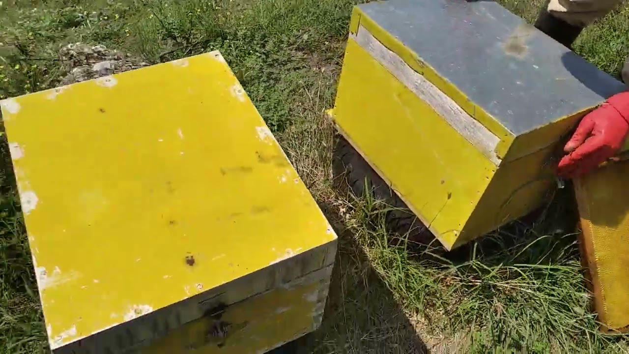 17/7/22 εξισορρόπηση μελισσιων