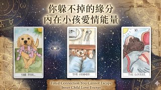 你躲不掉的愛情緣份 ～你內在小孩愛情的能量？ — Vane塔羅