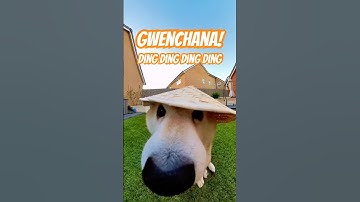 GWENCHANA! Ding ding ding ding ding #cutenessoverload