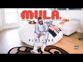 C. Mula - " Plus + Tax " ( @colourfulmula )