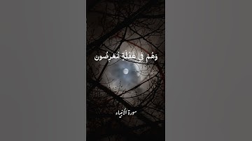 سورة الأنبياء الآية 1~2 🤎 اقترب للناس حسابهم #quran #قرآن #قران_كريم #سورة_الانبياء
