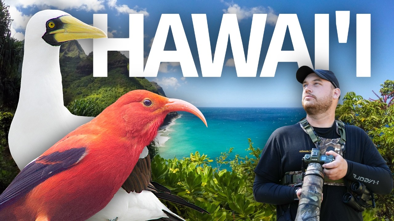 Hawaiian Endemic Birds and Conservation Challenges