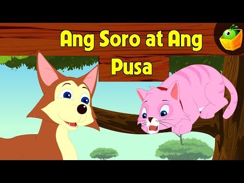 Video: At Nagamot Ang Soro