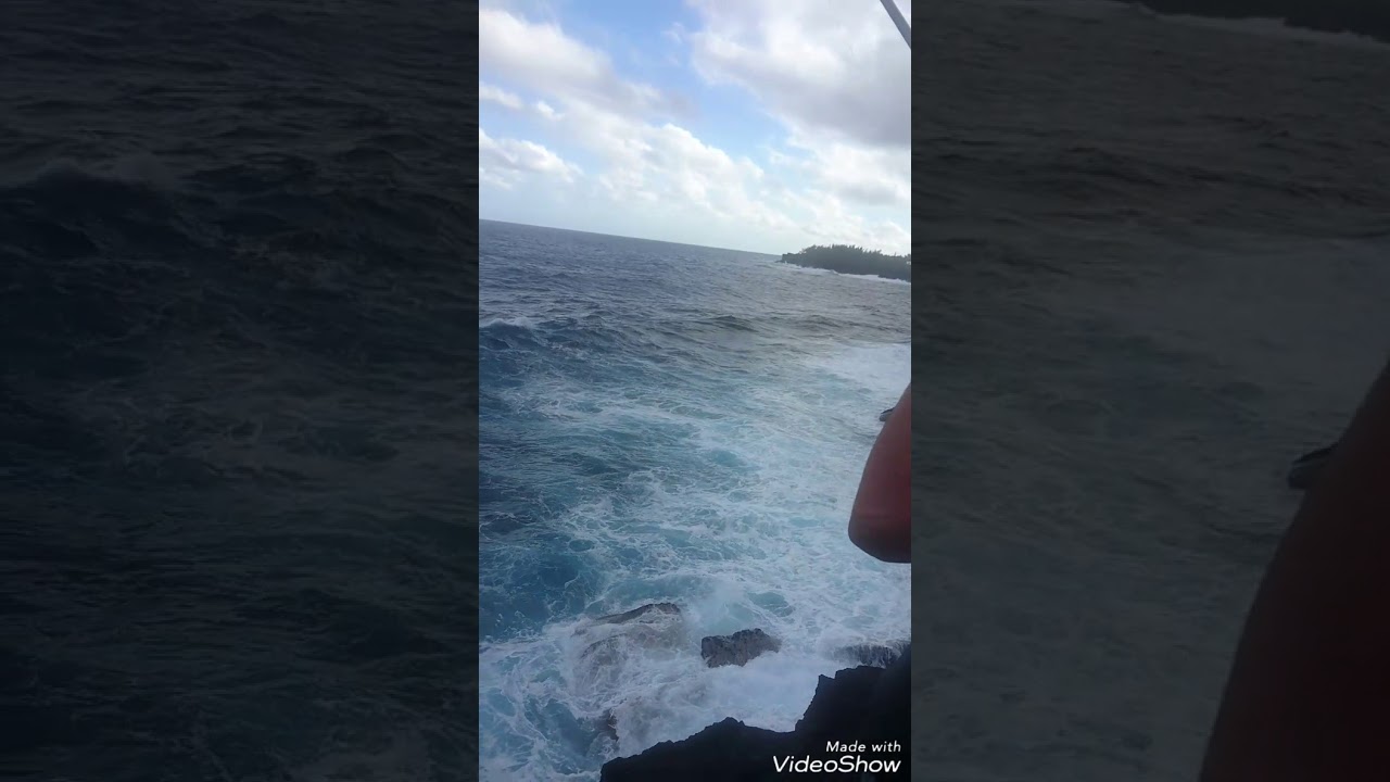 Bourse jaune/ baliste titan 5 kg du bord a la réunion