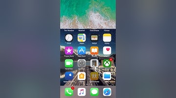 IOS 11 Disappearing Dock Glitch