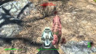 Fallout 4 GTX 960 Gameplay FPS Test