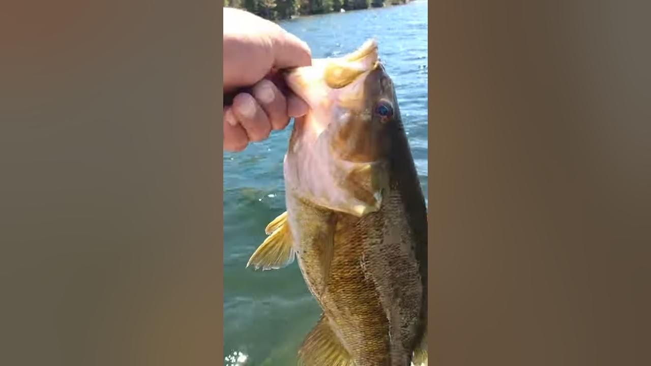 Opening Day Quabbin 2020 YouTube