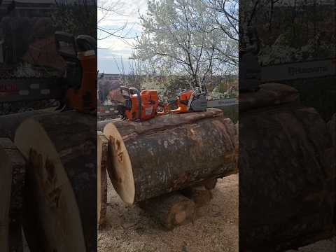 Husqvarna 395xp & 564xp