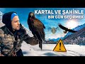 KARTAL VE ŞAHİN İLE BİR GÜN GEÇİRDİM ( HANGİSİ DAHA YIRTICI?? )