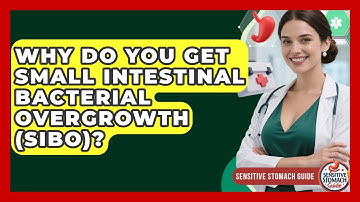 Why Do You Get Small Intestinal Bacterial Overgrowth (SIBO)? - Sensitive Stomach Guide